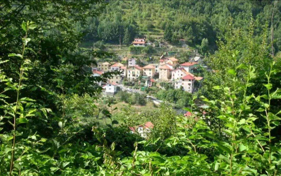 Valbravenna Il Non Ti Scordar Di Me 빌라 외부 사진